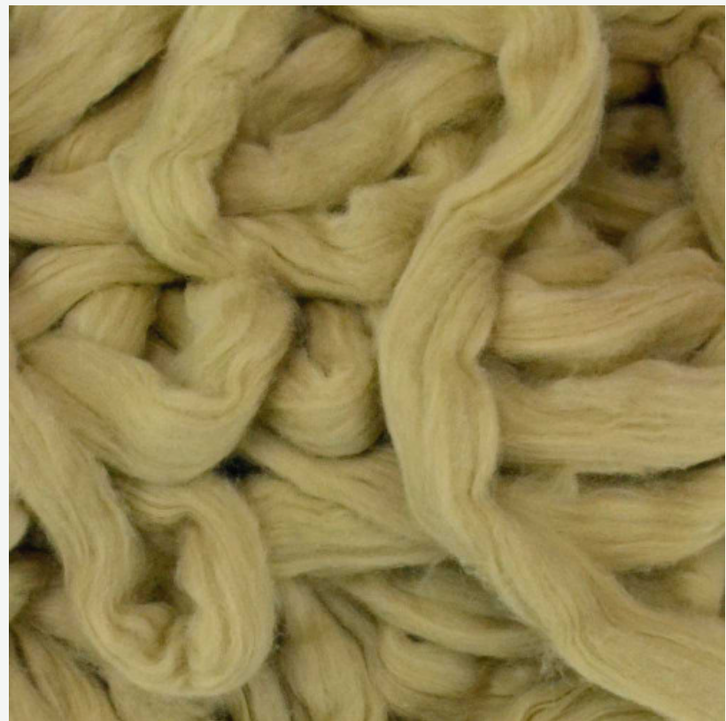 Earth Friendly Cotton Sliver